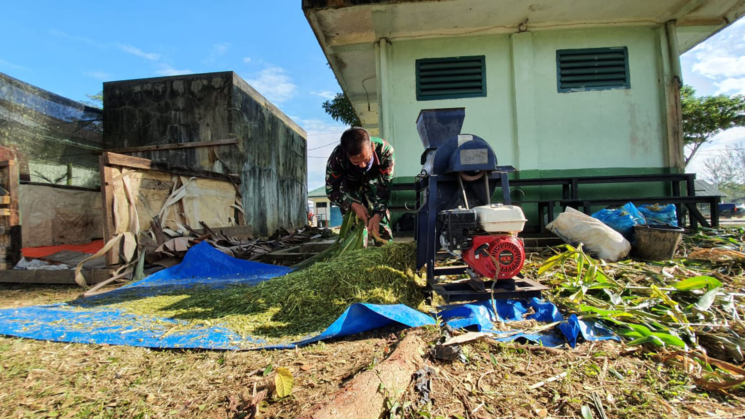 proses pembuatan pupuk oleh Babinsa Kodim 0319 Mentawai (Tirman)