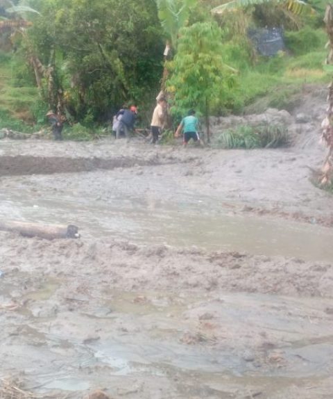 Longsor Di Sawah Landek Batagak, Satu Rumah Tenggelam, Minggu (8/11/2020)