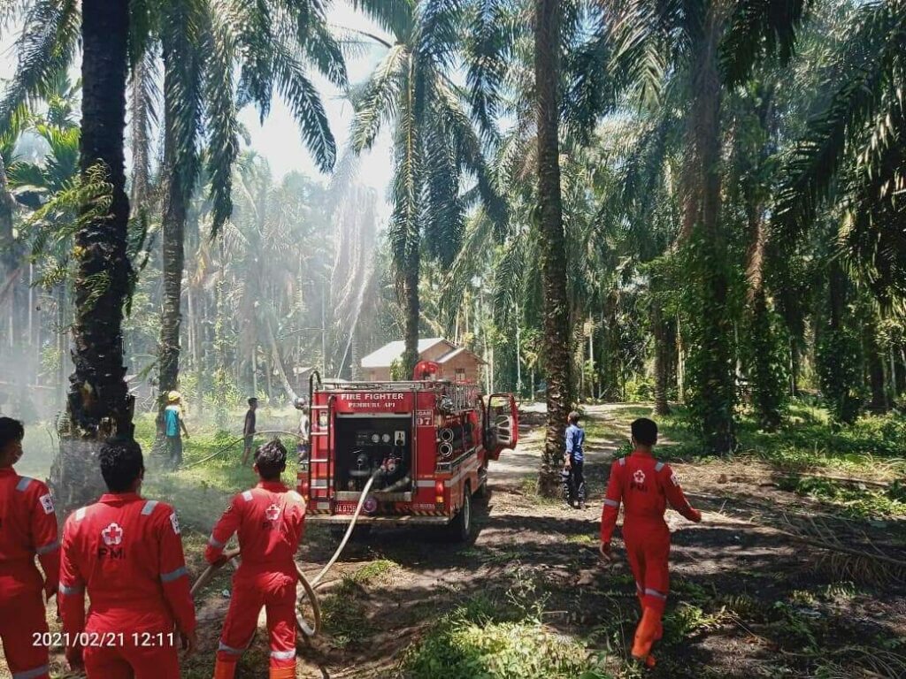 Kebakaran Lahan Sawit Di Palembayan, Berhasil Dikendalikan