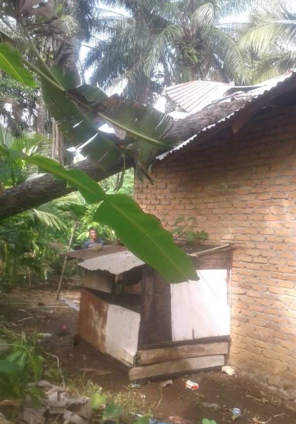 Rumah warga milik Ali Asar, (73) di Balai Jiraik, Jorong Cacang Randah, Nagari Tiku Utara, kecamatan Tanjung Mutiara Jumat,(2/4/2021) sore sekitar pukul 15.00 Rusak Berat Tertimpa Pohon Akibat Angin Kencang
