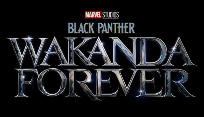 Black Panther Wakanda Forever. (Foto: imdb)