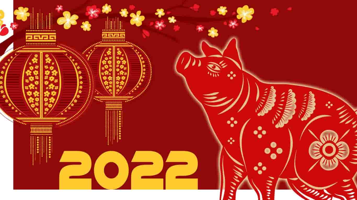 Ramalan Shio Babi Tahun 2022 Lengkap, Berpikir Dua Kali Sebelum Mengambil Keputusan