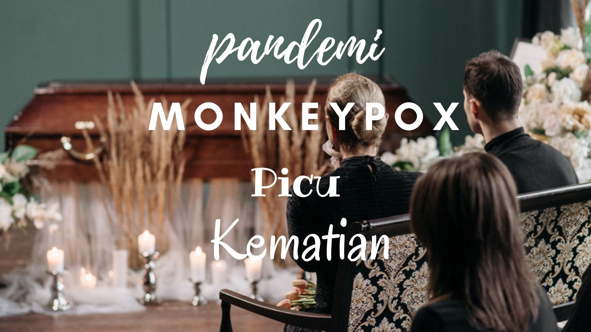Monkeypox Alias Cacar Monyet, Pandemi yang Picu Kematian Pada Anak-anak dan Bisa Menular dari Droplet
(ilustrasi)