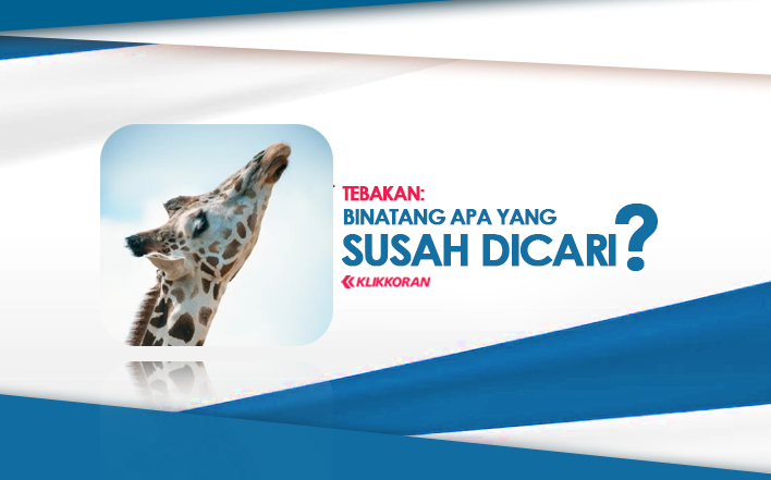 Tebakan Binatang yang Susah Dicari, Apa Itu, (TTS) Teka Teki Sulit Ini Mengandung Peribahasa/klikkoran.com