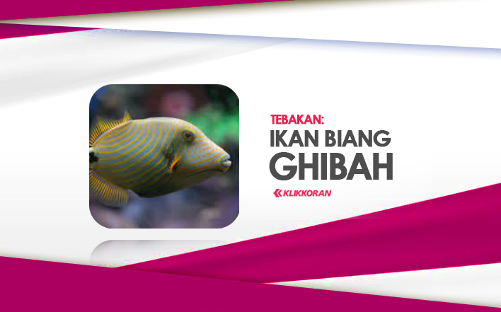 [TTS] Ikan Biang Ghibah, Bisa Tebak Teka-teki Ini, Cek Juga Jawaban dan Alasannya/klikkkoranc.om