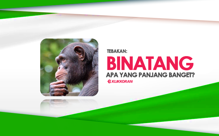 Tebakan, Binatang Apa yang Panjang Banget, (TTS) Cek Jawaban yang Benar dari Teka-teki Ini/klikkoran.com