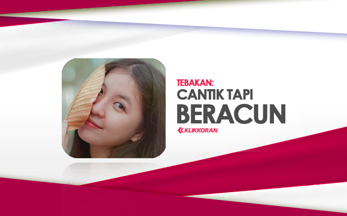 Tebakan Cantik tapi Beracun, Apa Itu (TTS) Cek Jawaban yang Benar dari Teka-teki Ini!/klikkoran.com