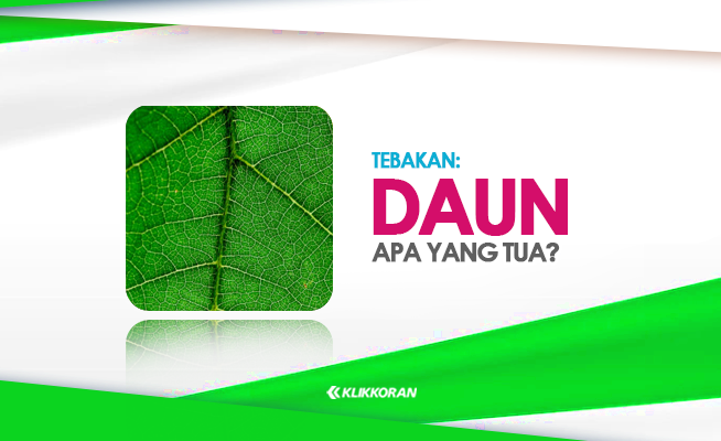 TTS: Daun Apa yang Tua? Tebak-tebakan Ini Mengandung Plesetan (foto: klikkoran.com)