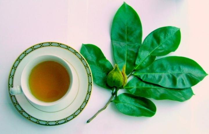 (Sumber foto: Herbal Teas Online)
