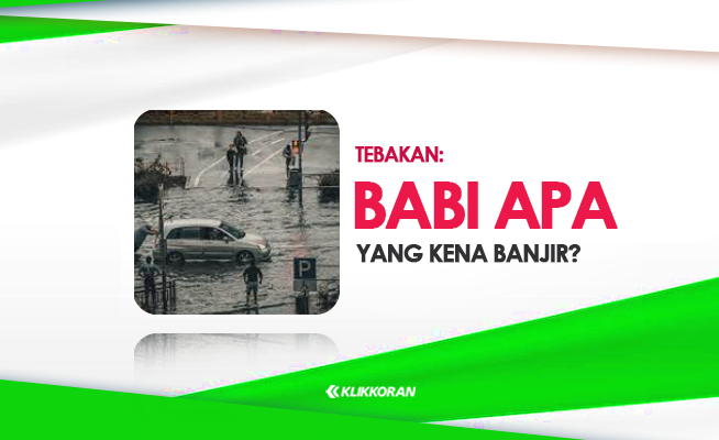 TTS, Babi Apa yang Kena Banjir Jawaban Tebak-tebakan yang Benar (foto: klikkoran.com)