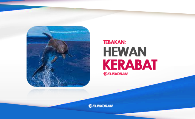 TTS Hewan Kerabat Jokes 6 Huruf, Apa Itu Cek Jawaban Tebakan Plesetan Ini (foto: klikkoran.com)