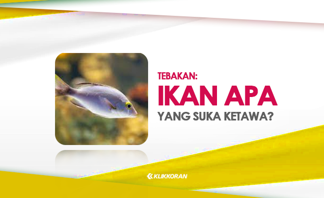 TTS Ikan Apa yang Suka Ketawa Cek Jawaban Ngakak dari Tebak-tebakan Ini (foto: Klikkoran.com)