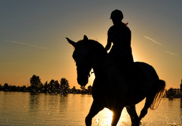 TTS: Kuda Berjalan dengan? Jawaban Teka-teki yang Benar (foto: Pexels/pixabay)