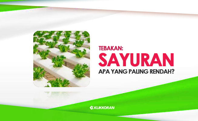 TTS: Sayur Apa yang Paling Rendah? Tebak-tebakan Lucu (foto: Kklikkoran.com)