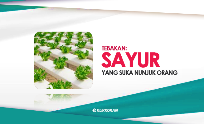 TTS Sayur yang Suka Nunjuk Orang, Coba Tebak Teka-teki Lucu Ini!  (foto: Klikkoran.com)