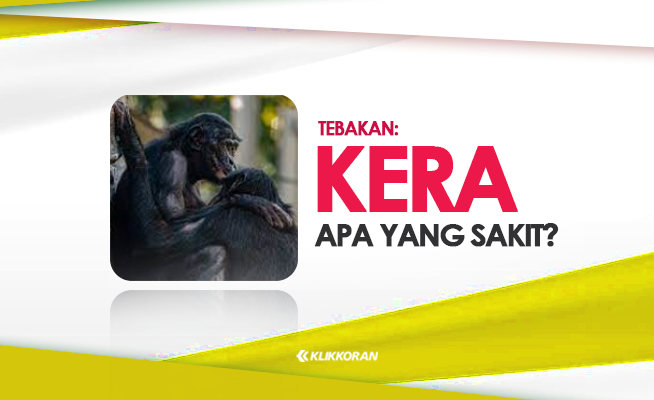 Tebakan, Kera Apa yang Sakit Jawaban TTS yang Benar (foto: klikkoran.com)
