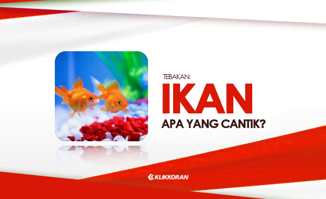 TTS Ikan Ikan Apa yang Cantik Tebak-tebakan Gombalan buat Pacar (foto: klikkoran.com)