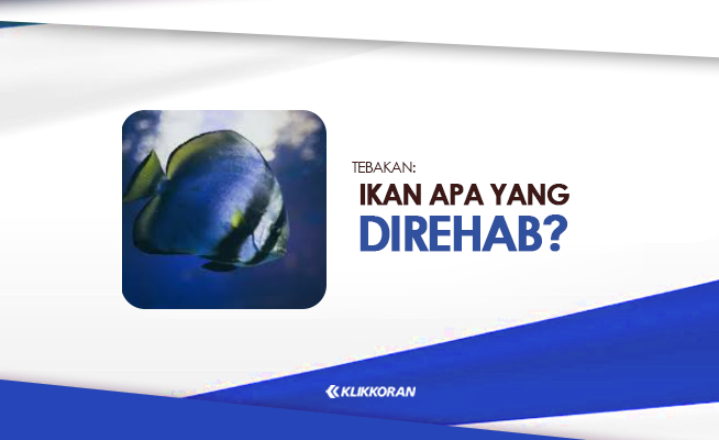 Tebakan Ikan Apa yang di Rehab TTS Plesetan Nama Hewan (foto: klikkoran.com)