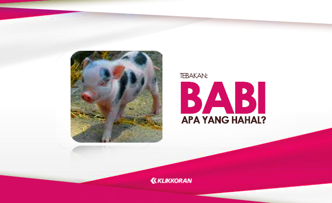TTS Babi yang Halal, Tebak-tebakan Lucu bikin Ngakak untuk Pasangan (foto: Klikkoran.com)