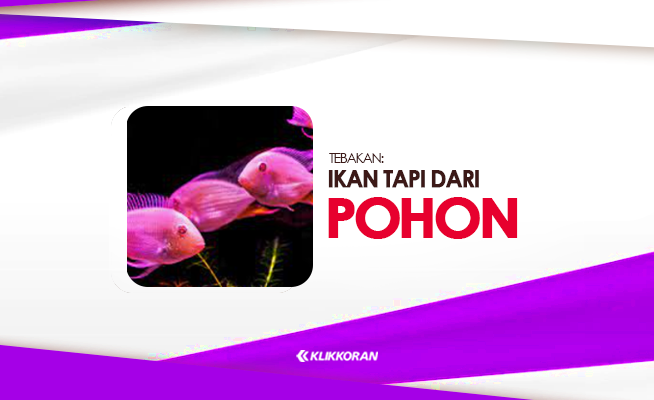 TTS Ikan Tapi dari pohon, Apa Artinya Jawaban Tebak-tebakan Ini (klikkoran.com)