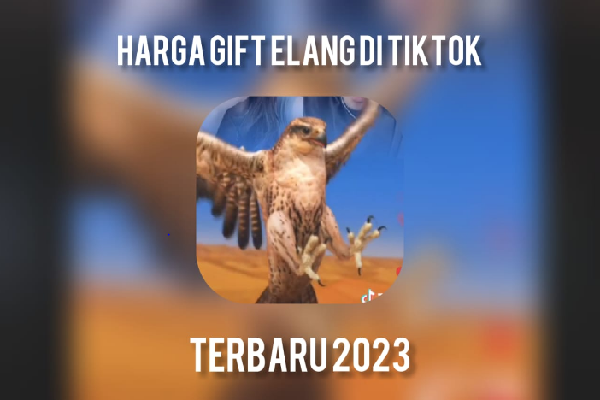 Update! Berapa Harga Gift Elang TikTok Terbaru 2023 dalam Uang Rupiah? Simak Penjelasannya (Foto : Klikkoran.com)