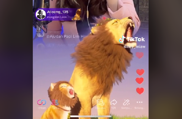 Update! Berapa Harga Gift 'Leon dan Lion' di TikTok dalam Uang Rupiah? Cek Penjelasannya di Sini (Foto : Tangkap Layar TikTok @hey_miaw)