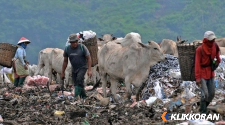 Tempat Pembuangan Akhir (TPA) Air Dingin Kota Padang. (Foto: Pemko Padang)