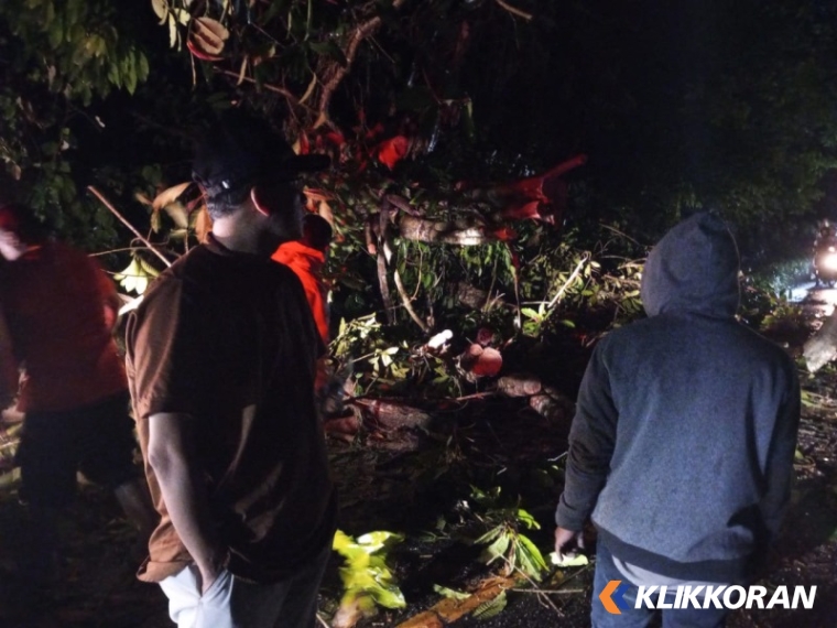 Tim Rescue BPBD Kota Padang tengah evakuasi pohon tumbang. (Foto: Istimewa)