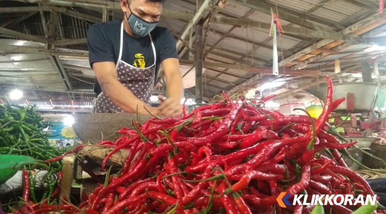 Pedagang cabai merah di Pasar Raya Padang (Dokumentasi Halonusa)