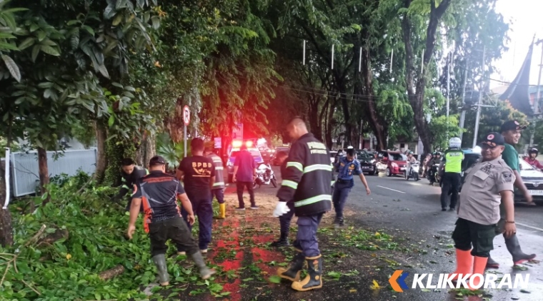 Proses evakuasi pohon tumbang. (Foto: BPBD Padang)