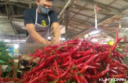 Pedagang cabai merah di Pasar Raya Padang (Dokumentasi Halonusa)