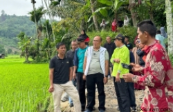 Ketua DPRD Sumbar, Supardi ketika meninjau pembangunan Jalan Usaha Tani (JUT) Jorong Sipingai Nagari VII Koto Talago, Kecamatan Guguak, Kabupaten Limapuluh Kota, Minggu, (22/10/2023).