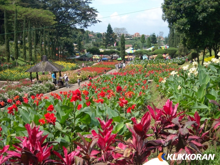 Kota Bunga Tomohon Sulawesi Utara (foto: Genpi)