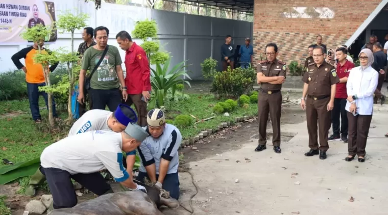 Sembelih 13 Hewan Kurban, Begini Pesan Kajati Akmal Abbas