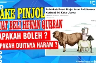 Ilustrasi pinjol beli hewan kurban.