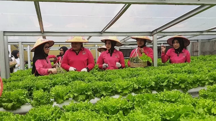 Bhayangkari Riau Luncurkan Program P2L untuk Dukung Ketahanan Pangan