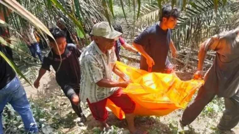 Wajah Tinggal Tengkorak, Mayat Pria Tanpa Identitas Ditemukan Membusuk di Sungai Tibun Kampar