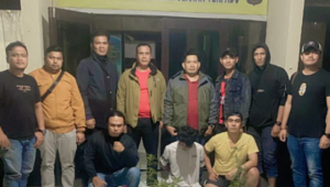 Ketahuan Bercocok Tanam 23 Batang Ganja, Pemuda di Solok Diringkus Polisi. (Foto: Dok istimewa)