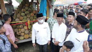 Foto Puncak Festival Durian, Pemerintah dan Masyarakat Kumpul dan Makan Durian Bersama