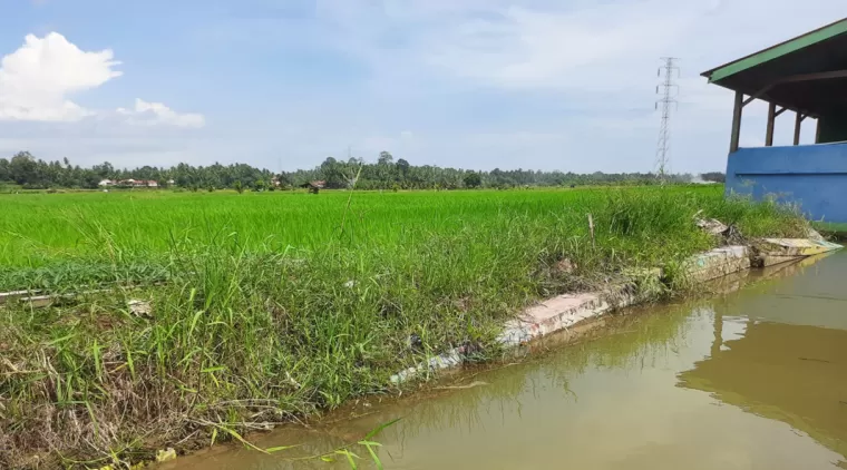 Salah satu titik kerusakan pada saluran primer irigasi teknis Santok Kota Pariaman.(Trisnaldi).