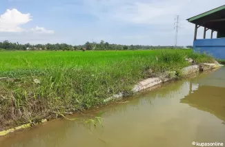 Salah satu titik kerusakan pada saluran primer irigasi teknis Santok Kota Pariaman.(Trisnaldi).