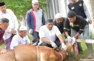 Pj Wako Andree Algamar Memuji Semangat Orang Padang untuk Berqurban pada Idul Adha 1445H