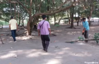Pemangkasan pohon pelindung sedang dilaksanakan.