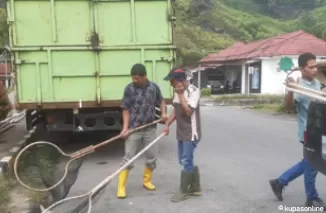 Pemko Padang Panjang Tertibkan Anjing Liar untuk Cegah Rabies dan Respon Keluhan Warga