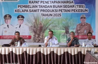Pemerintah Kalteng Tetapkan Harga TBS Kelapa Sawit Periode Februari 2025
