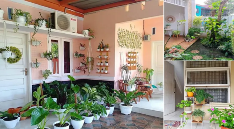 10 Tanaman Hias Penghasil Oksigen Terbanyak untuk Ruangan Sejuk