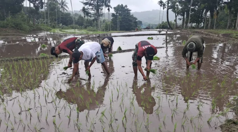 Pos Mahen 741/GN Bersama Masyarakat Laksanakan Tanam Padi di Daerah Perbatasan
