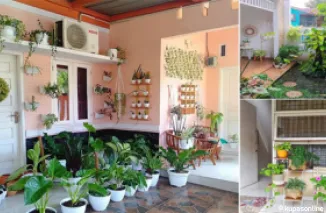 10 Tanaman Hias Penghasil Oksigen Terbanyak untuk Ruangan Sejuk
