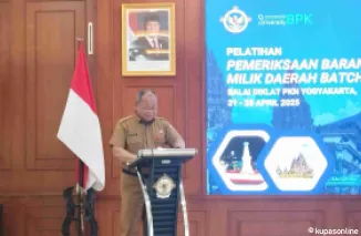 APIP Kalteng Ikuti Pelatihan Pemeriksaan BMD untuk Tingkatkan Profesionalisme dan Akuntabilitas