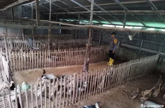 Dukung Program Ketahanan Pangan Polsek Indralaya Pelihara Bebek Petelur Dan Tambak Kolam Ikan Lele